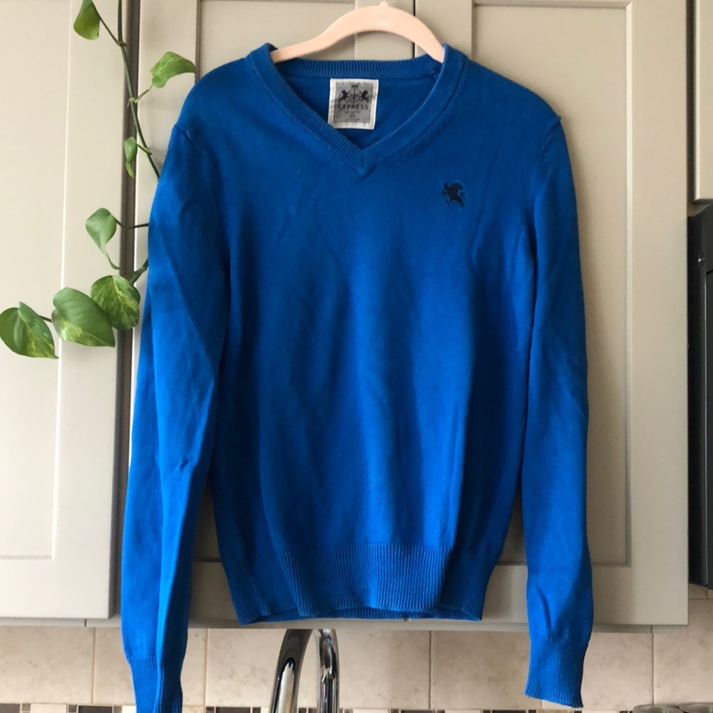 Mens Express V-Neck Sweater